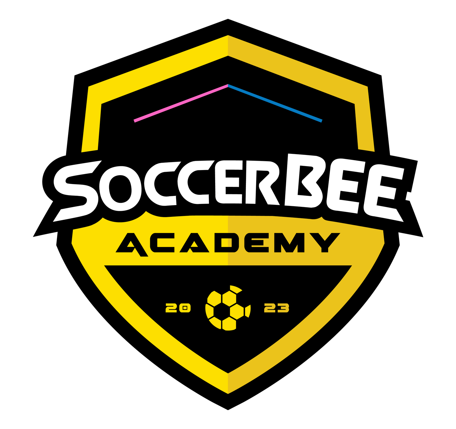 Academia de f&uacute;tbol infantil en Monterrey