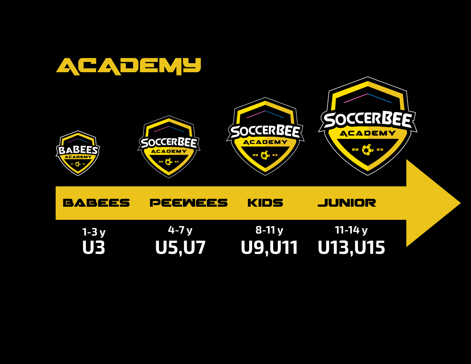 Grupos SoccerBEE Academy
