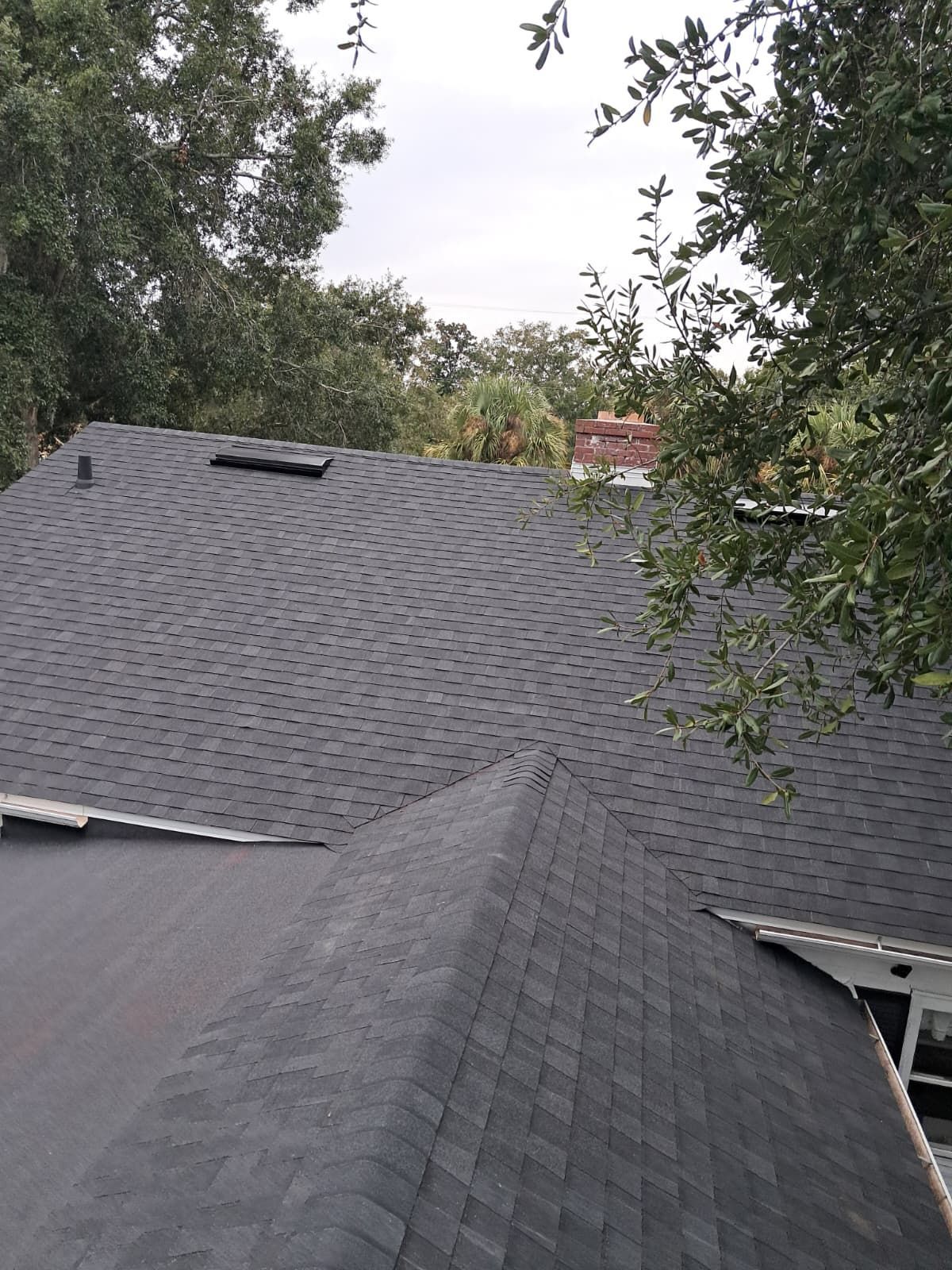 Dark gray shingle roof with a vent and tree branches, seen from above, overcast sky.