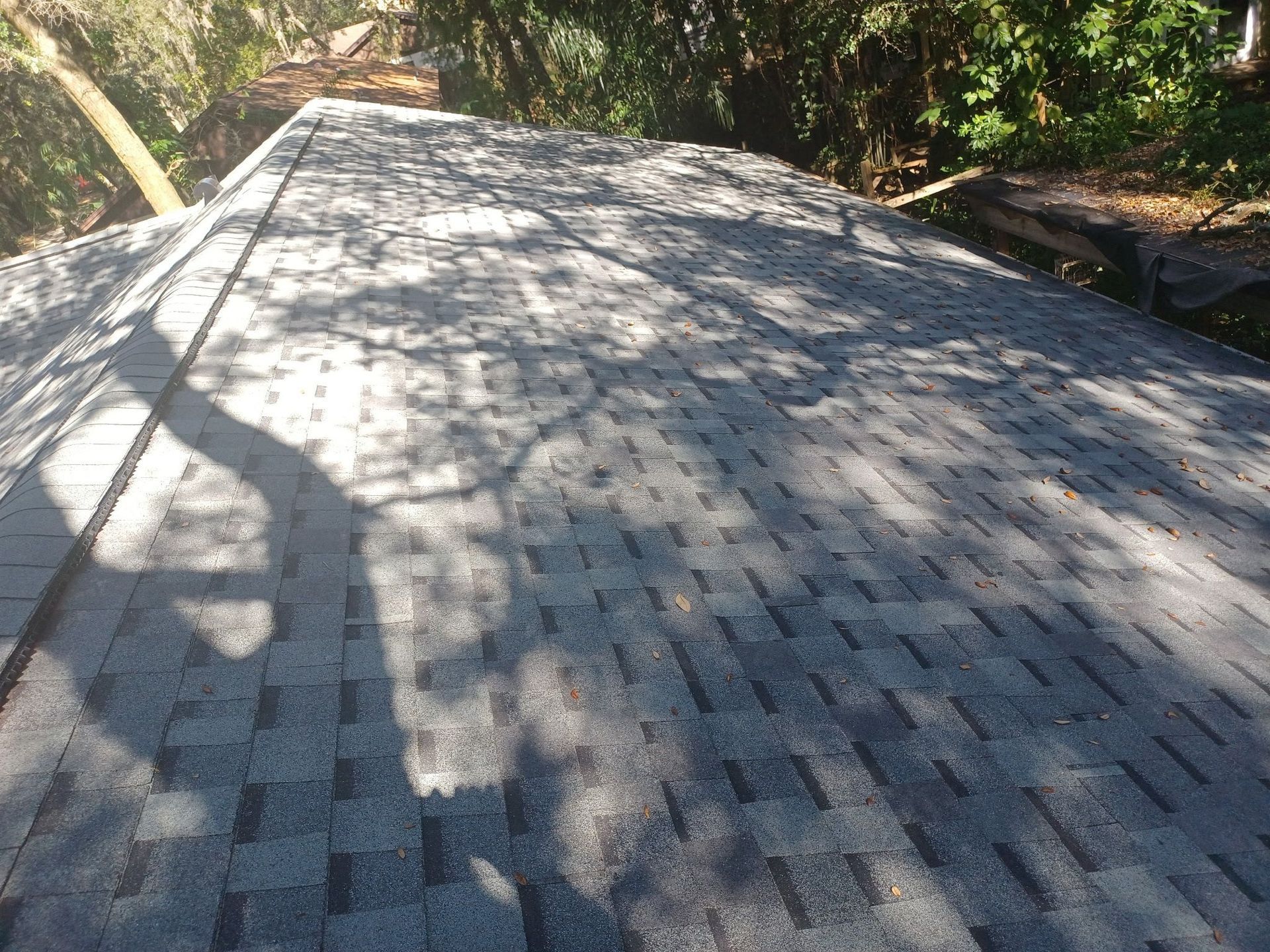 Gray asphalt shingle roof with shadows cast by trees overhead.