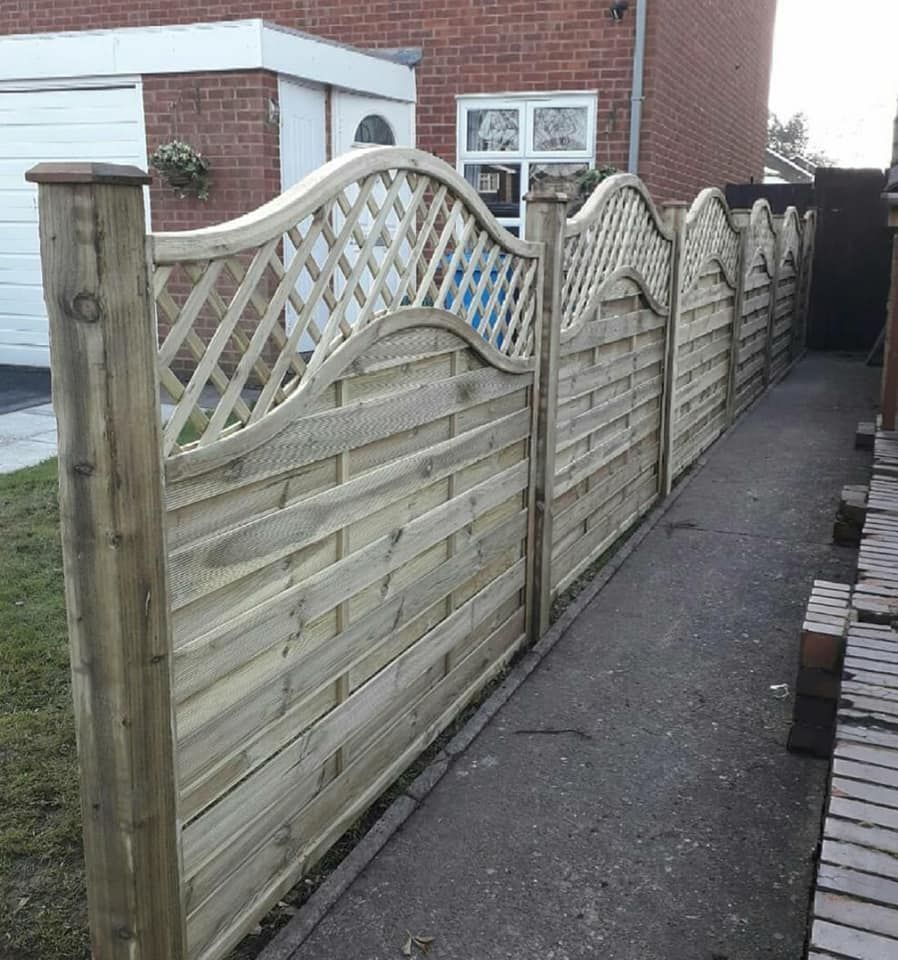 Omega trellis fencing in Southampton