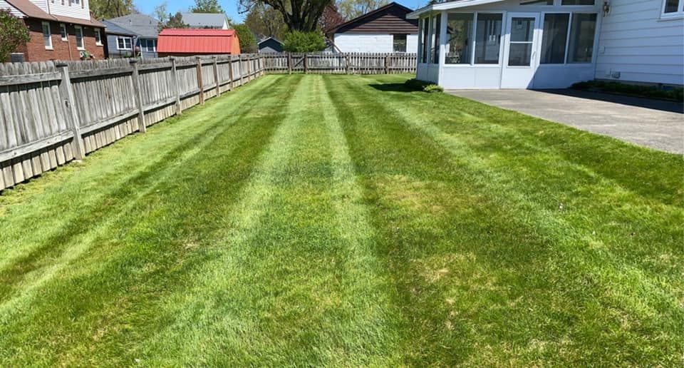 A lush green lawn with a fence and a house in the background.