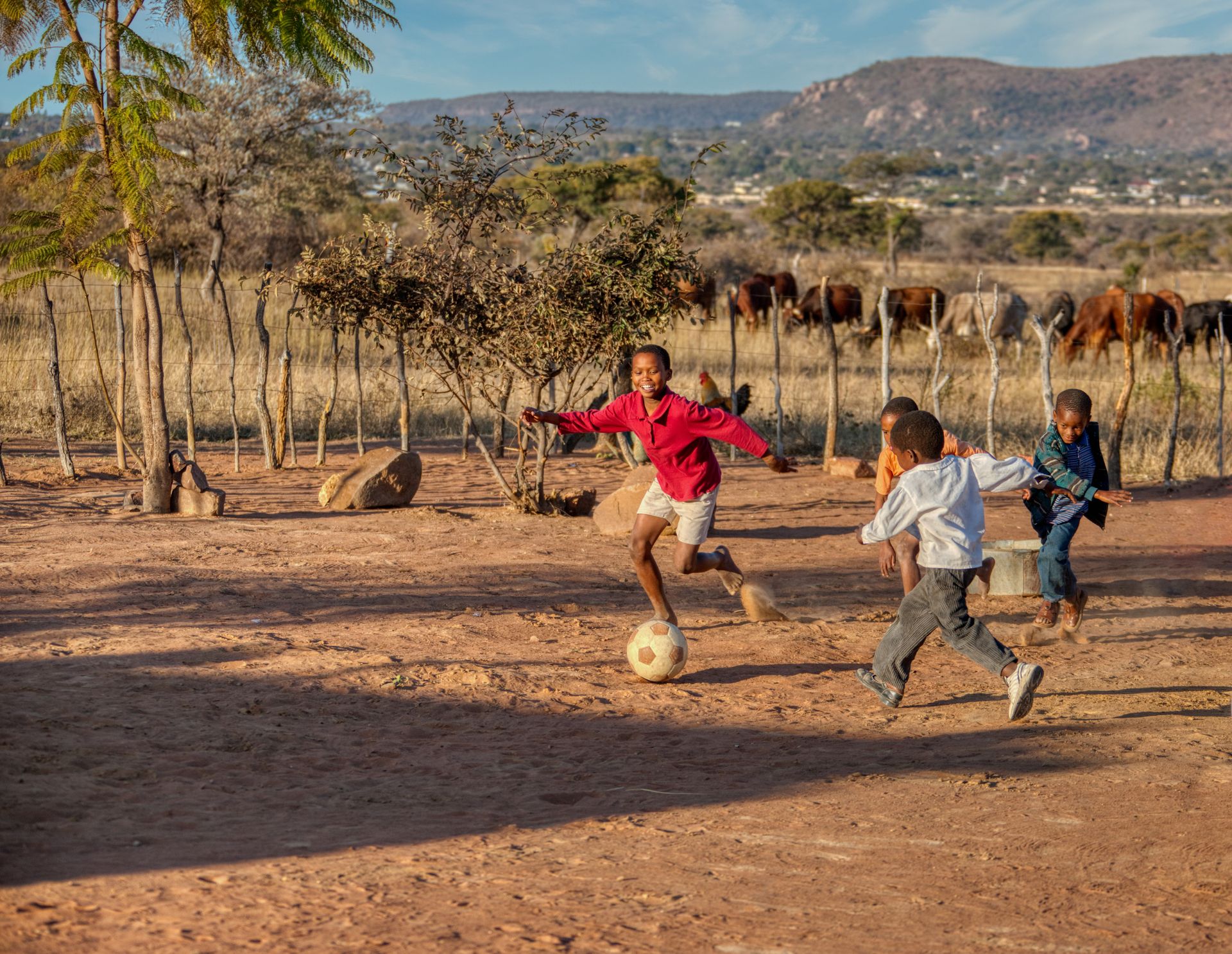 Children playing soccer on a dirt field near a fence and cattle, under a blue sky.