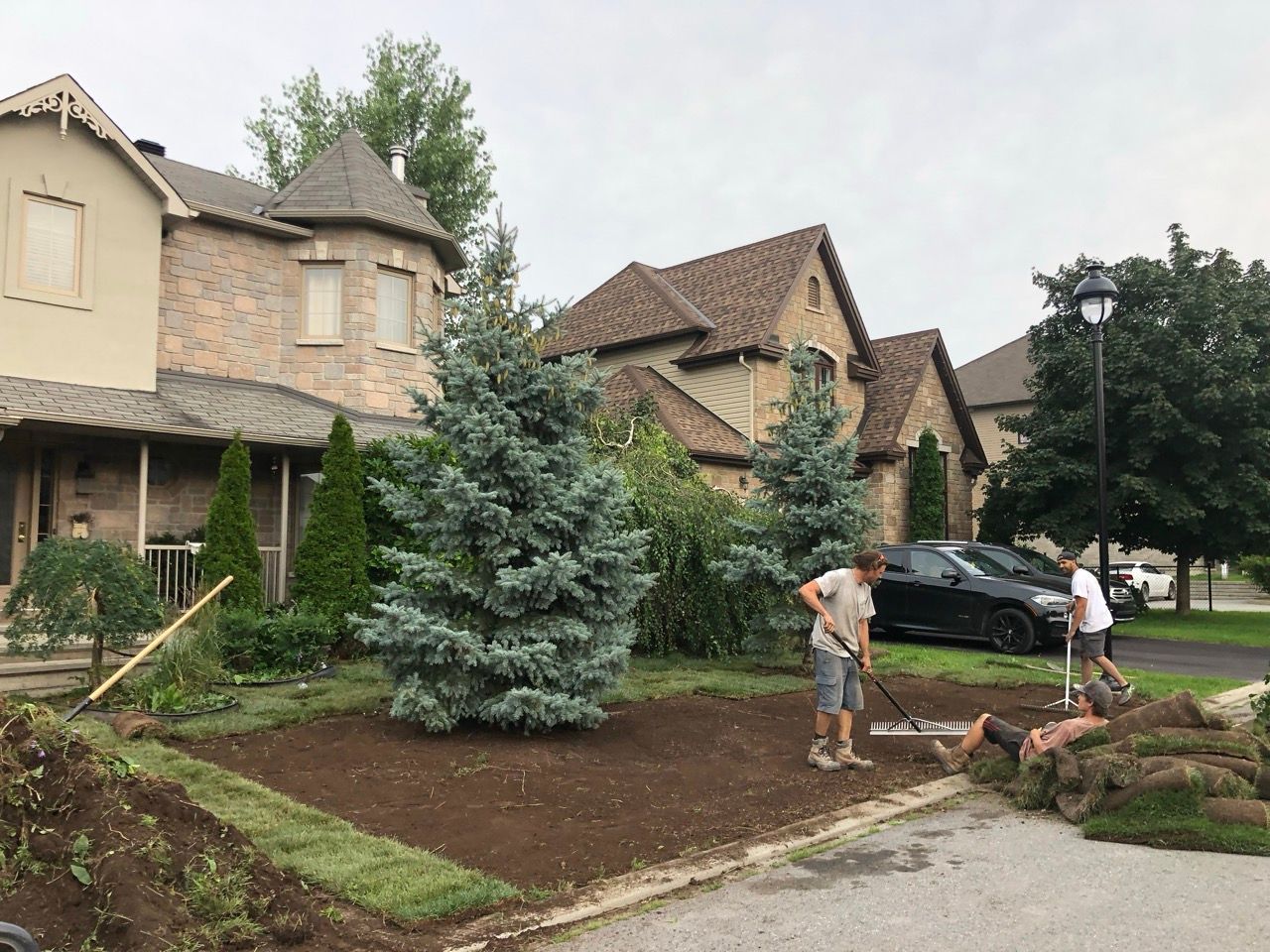 Des paysagistes posent du gazon devant une grande maison avec un épicéa bleu.
