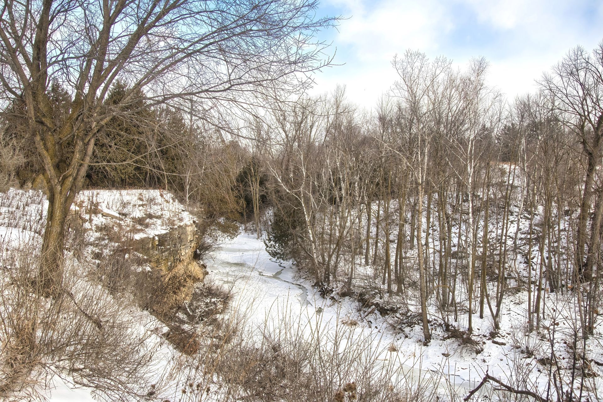 Snow-covered wooded path winding through leafless trees under a pale winter sky.
