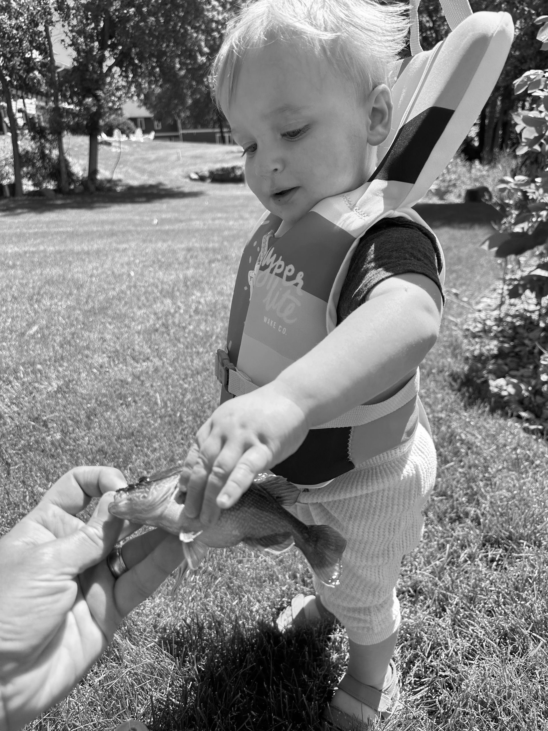 Toddler reaching for a leaf held by an adult in a sunny grassy yard, with a toy strapped on their back