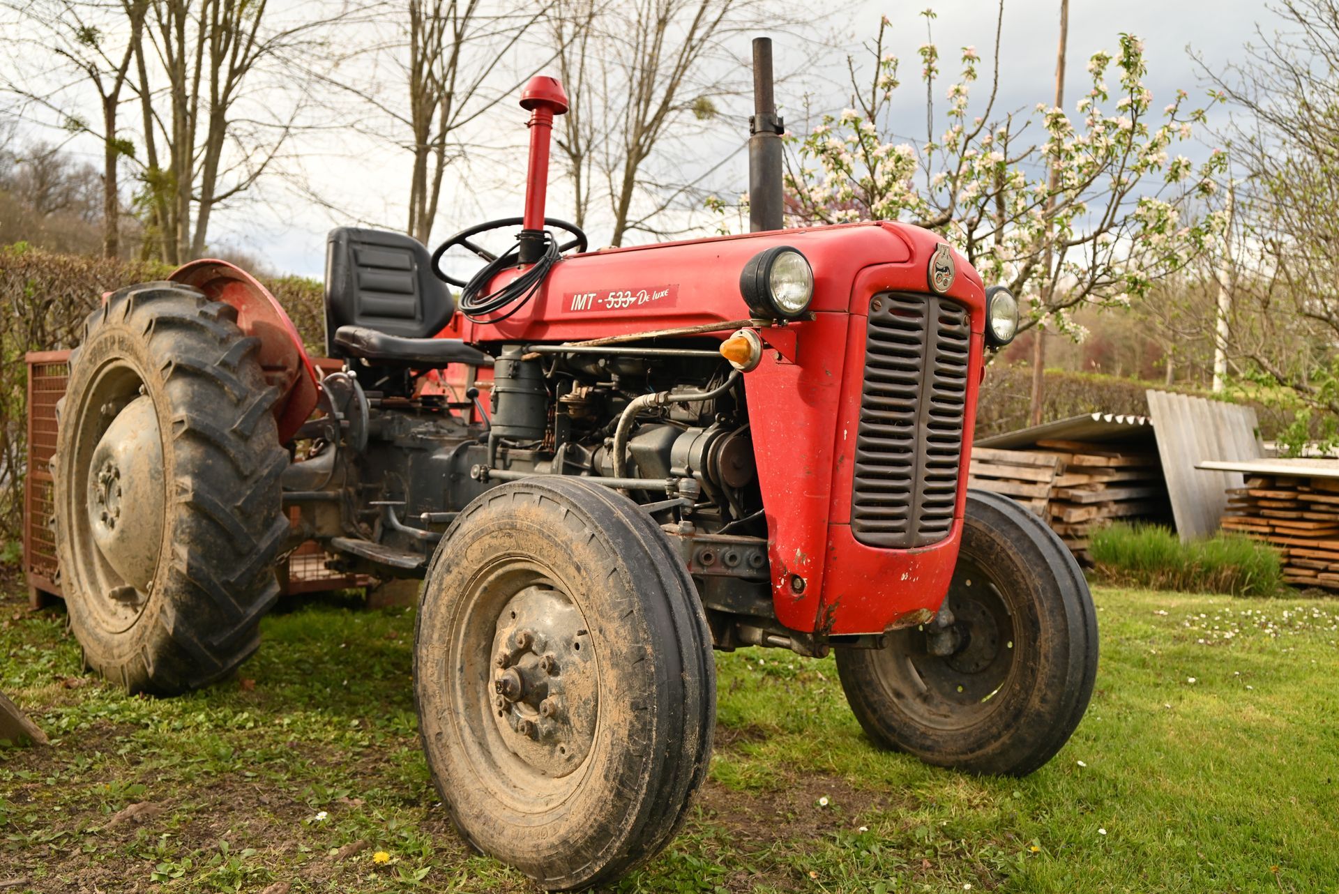 Red vintage tractor parked on grass in a rural yard with trees and fencing in the background