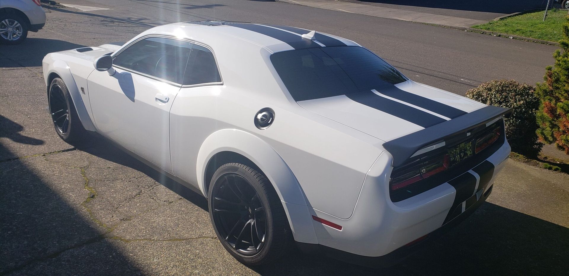 White Dodge Challenger parked outdoors, rear three-quarter view, with black racing stripe and wheels