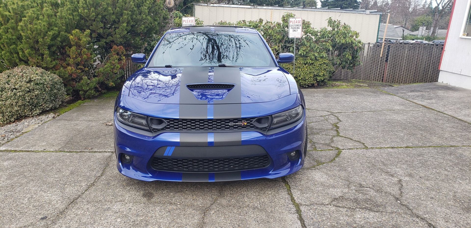 Blue sports car parked on a driveway with trees and a house in the background