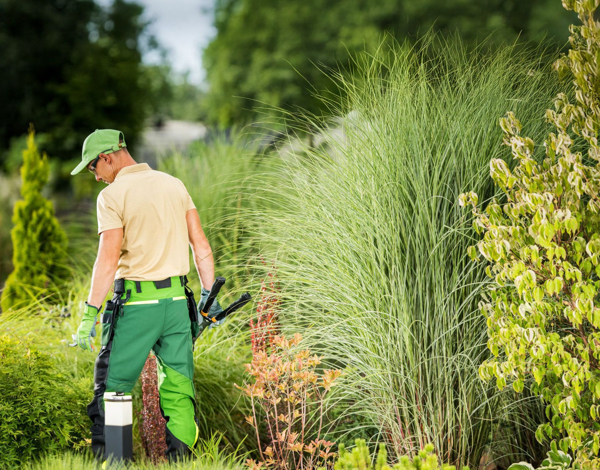 Commercial-Landscaping-Services