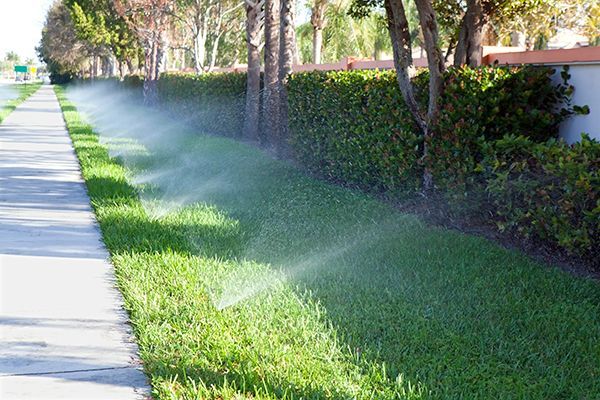 Smart irrigation system watering South Bay apartment landscape