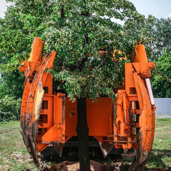 A large orange machine is planting a tree in the ground