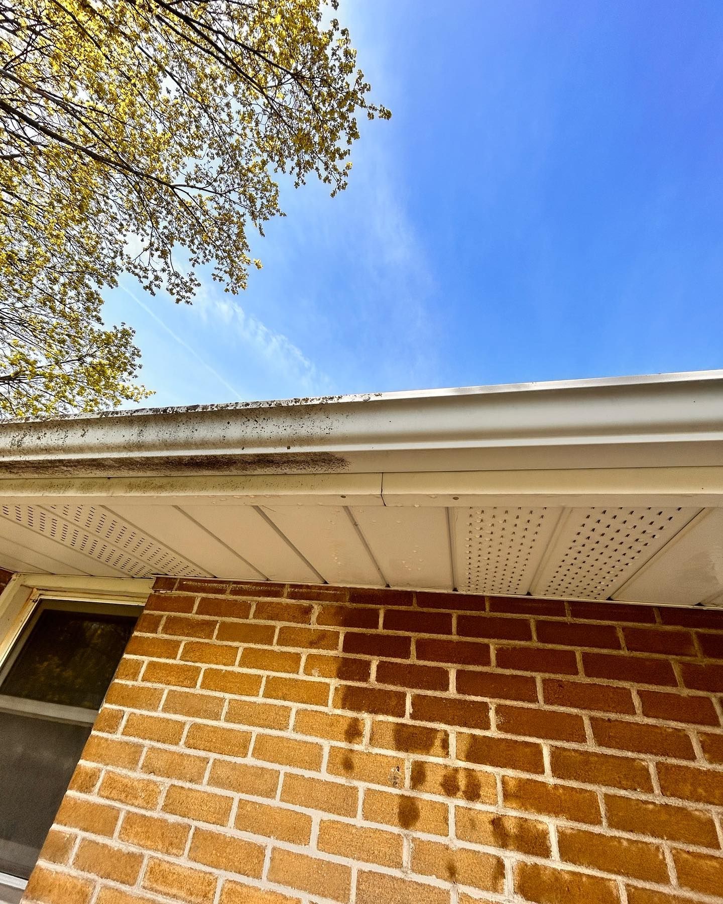 The Benefits of Gutter Brightening for Your Home