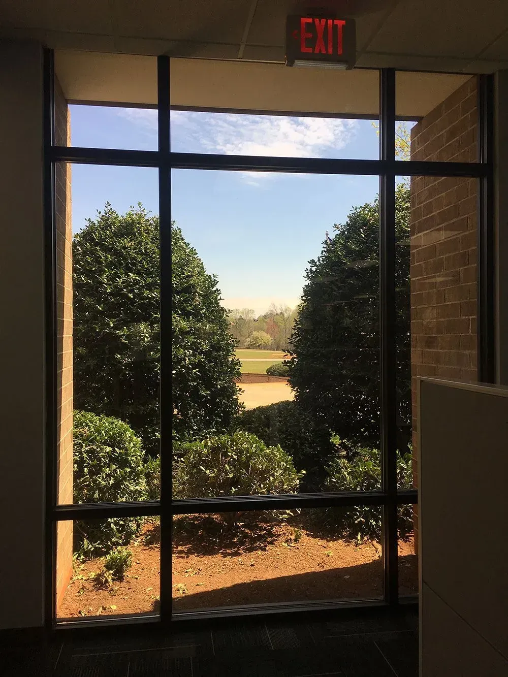 View through a window: two large green bushes with blue sky and a red