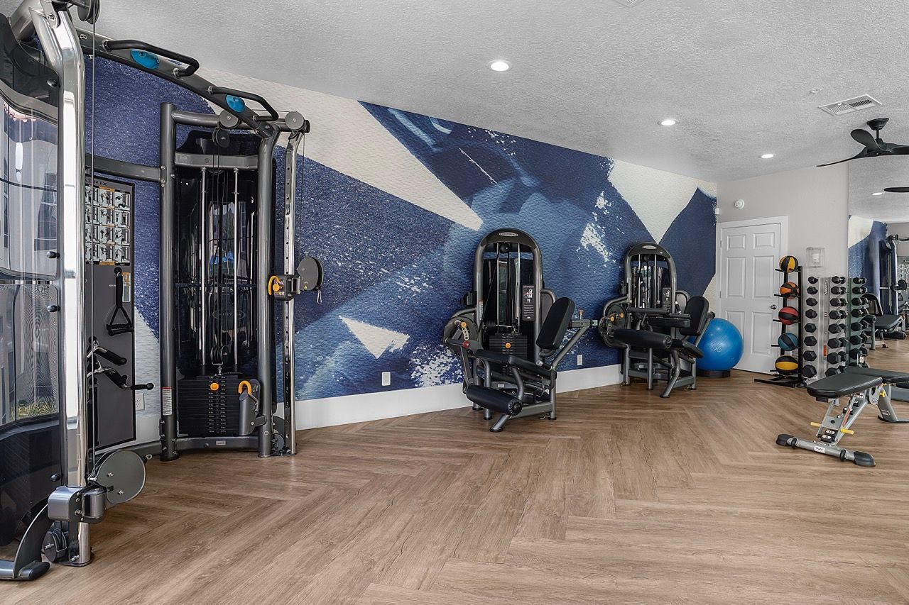 Indoor fitness center with weight machines, free weights, and a blue mural wall.