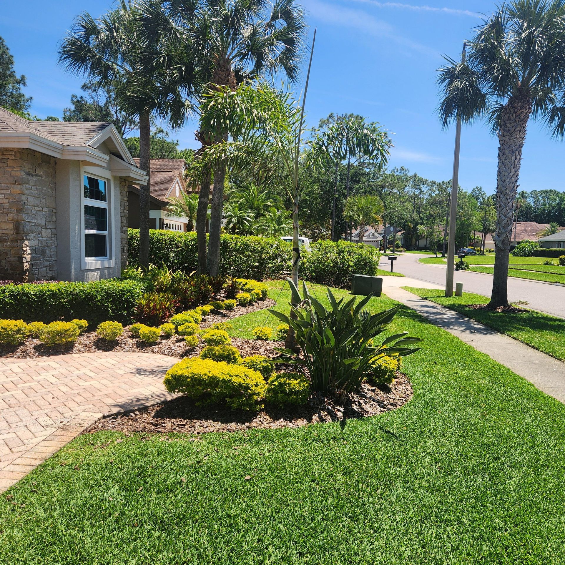 A lush green landscape with a house in the background