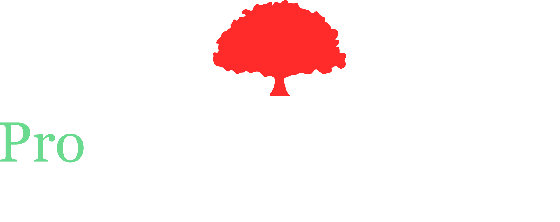 Pro Landscape Services LLC