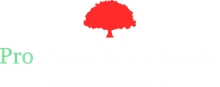 Pro Landscape Services LLC