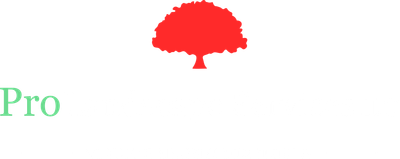 Pro Landscape Services LLC