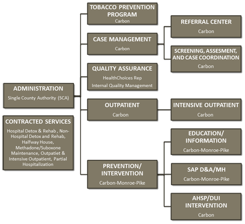 A diagram of the tobacco prevention program