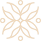 Um desenho de uma flor com folhas e círculos em um fundo branco.