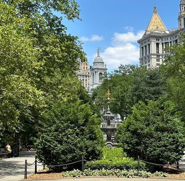 City park with dense green trees framing a distant domed building and a gold-roofed tower under a blue sky