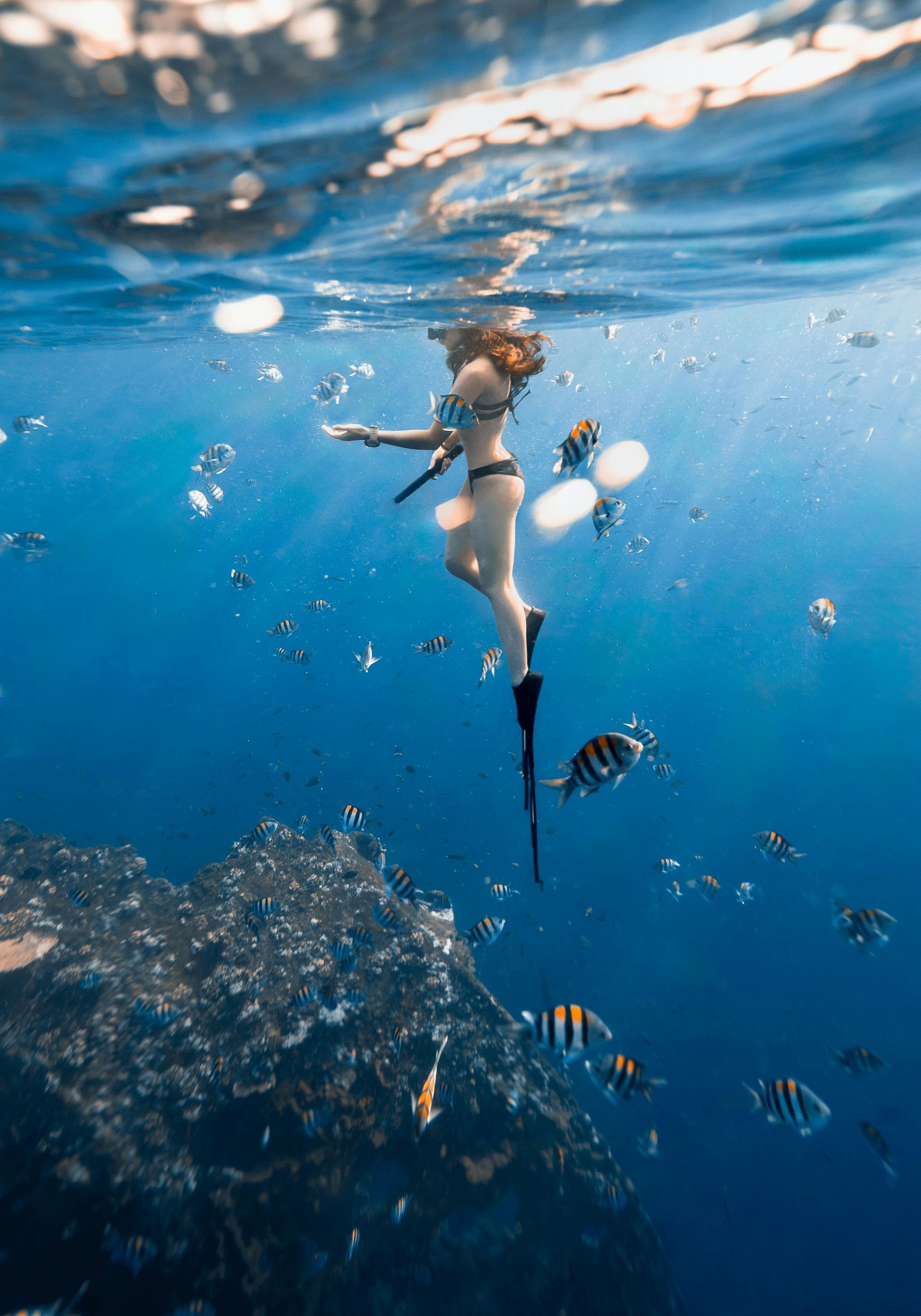 Una mujer está nadando en el océano con peces.