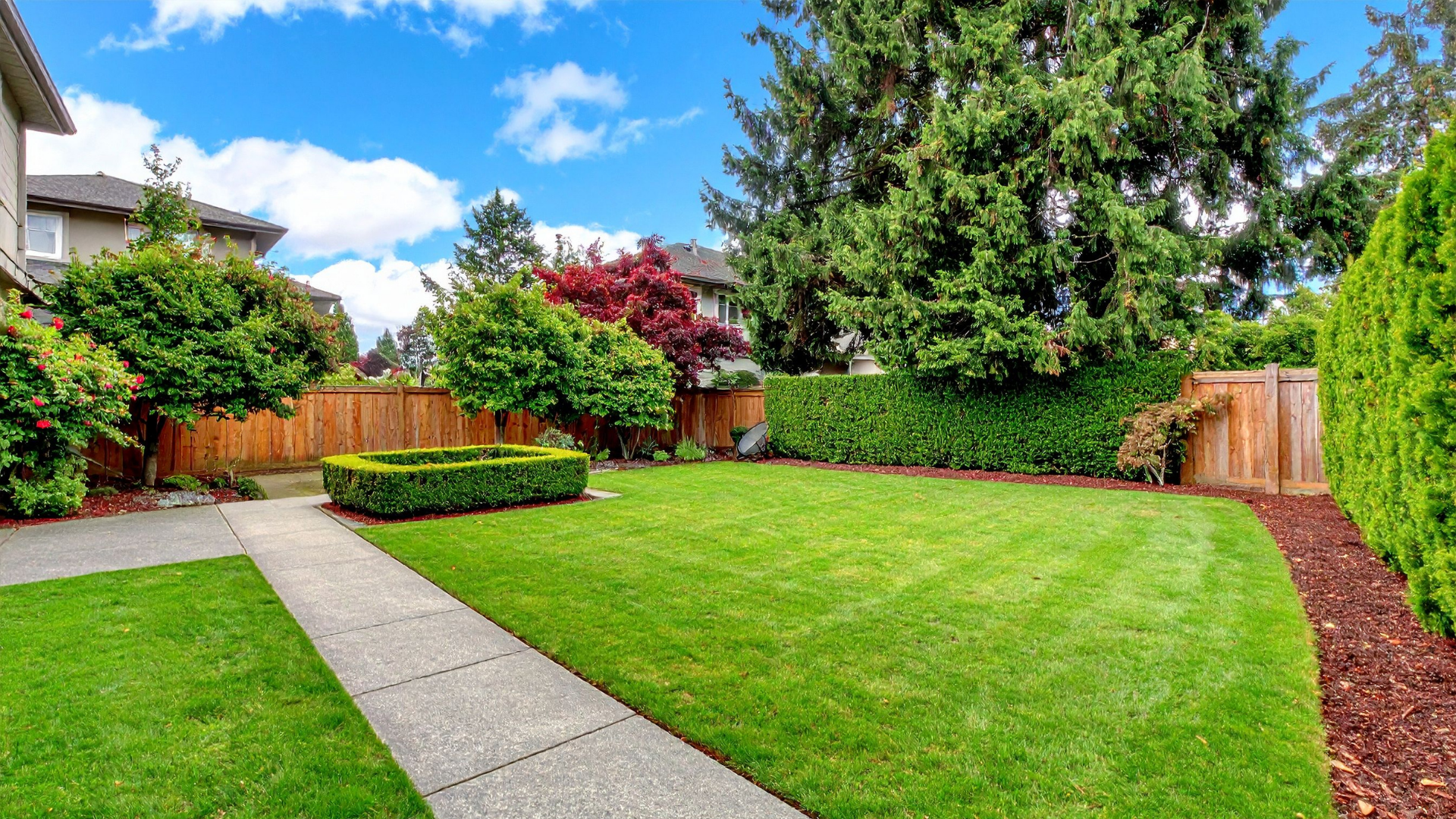 Lush backyard lawn with a concrete path, wooden fence, and tall trees under a bright blue sky