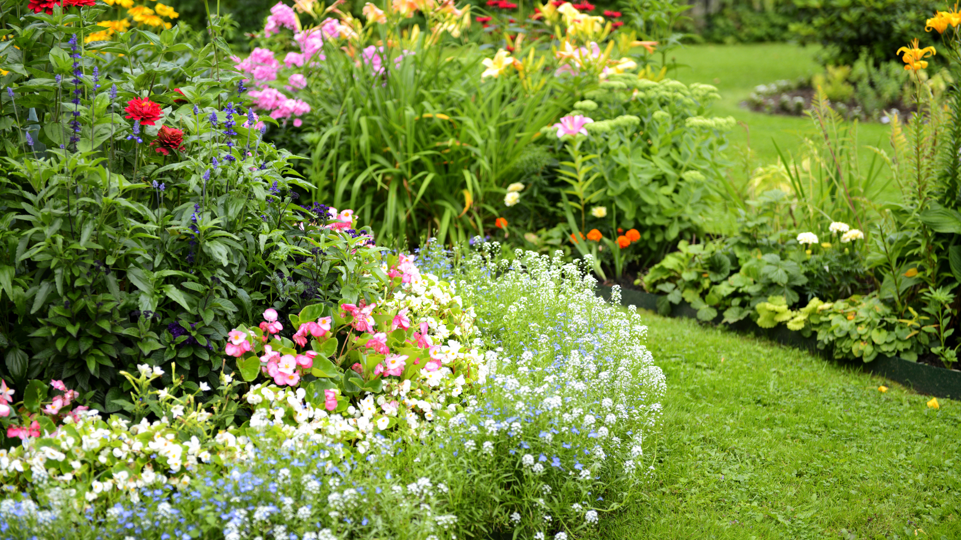Colorful flower garden with pink, white, yellow, and red blooms beside a green lawn