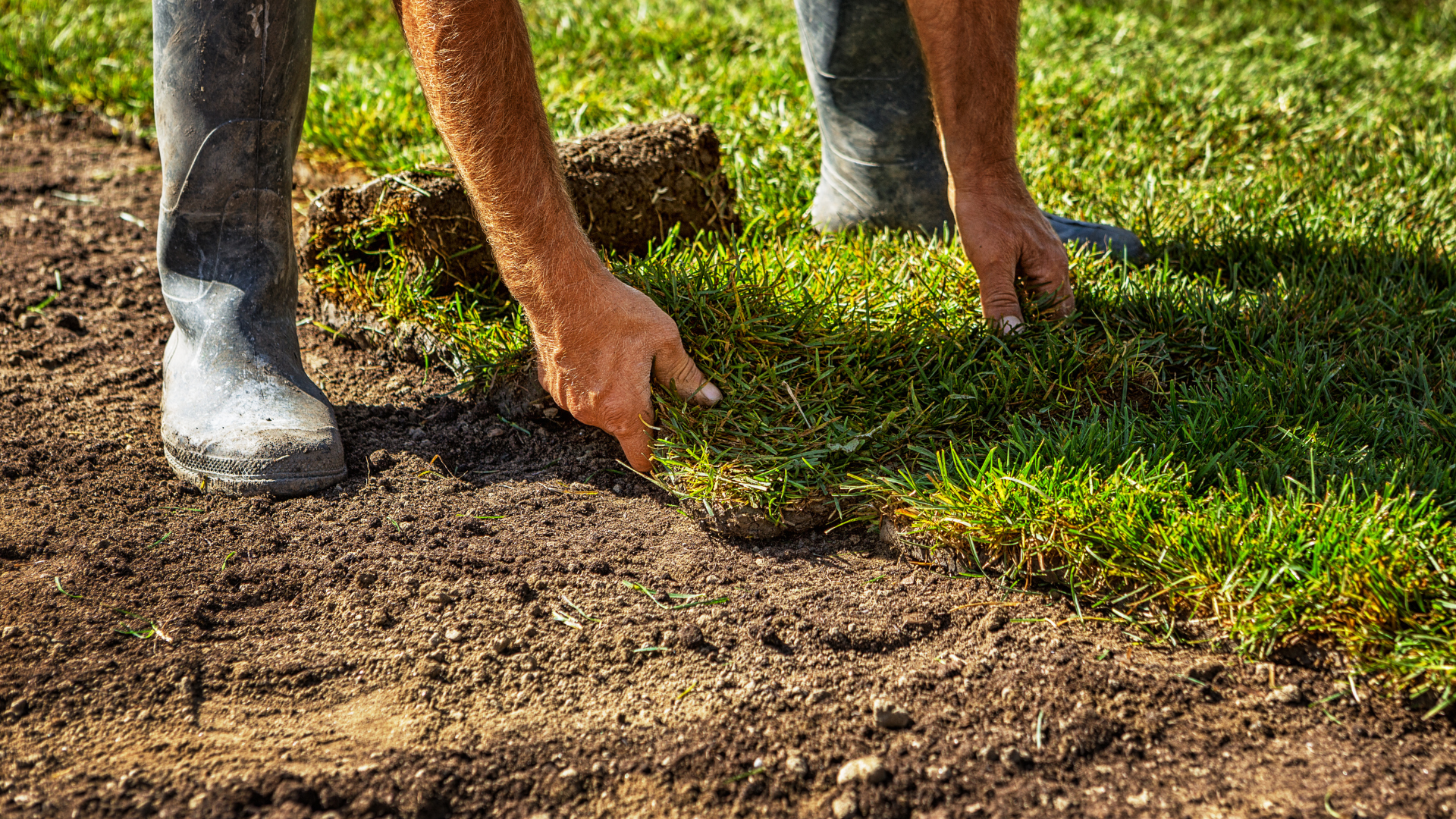 Person planting seedlings in soil beside green grass, with one hand digging a small hole