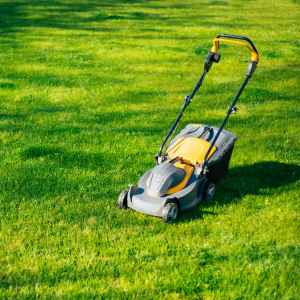 Yellow and gray lawn mower on a green grassy lawn