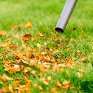 Leaf blower nozzle blowing autumn leaves across green grass