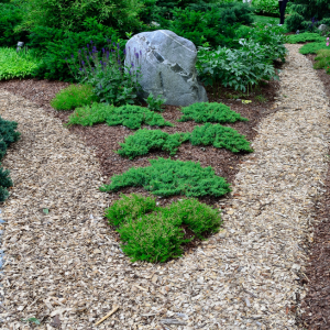 Woodchip garden path curving around green shrubs and a large gray boulder