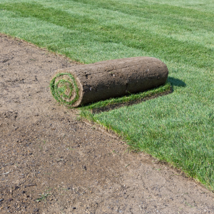 Rolled sod on a dirt edge beside a freshly laid green lawn