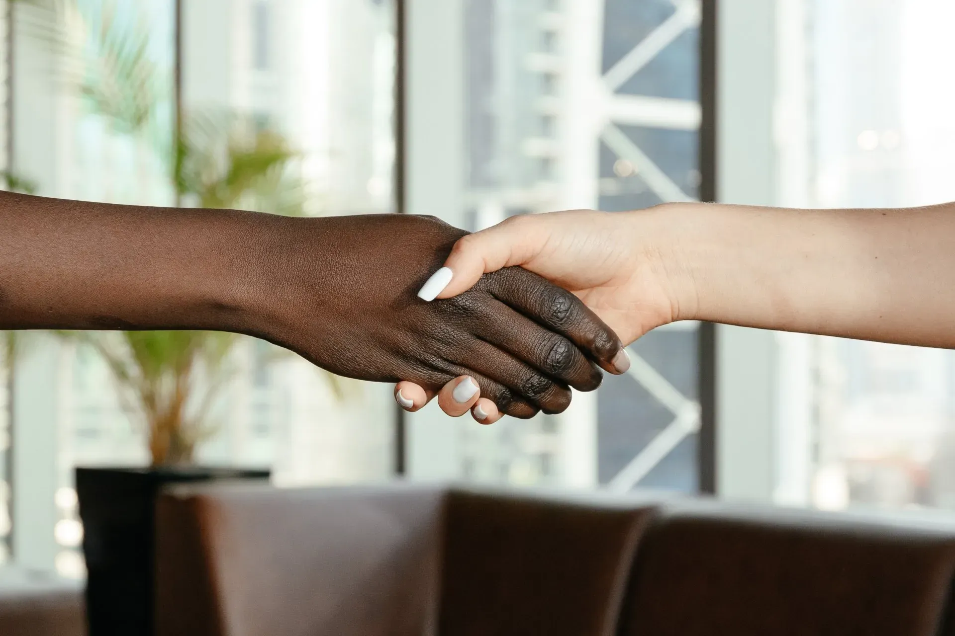 Two hands shaking across a table in a bright room with soft-focus windows behind them