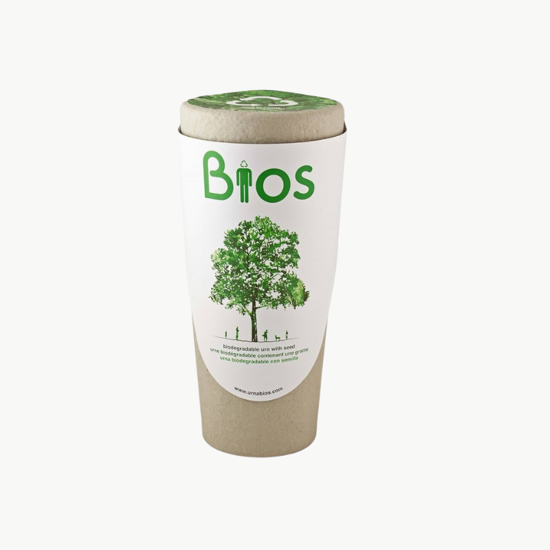 cofanetto cremazione bio