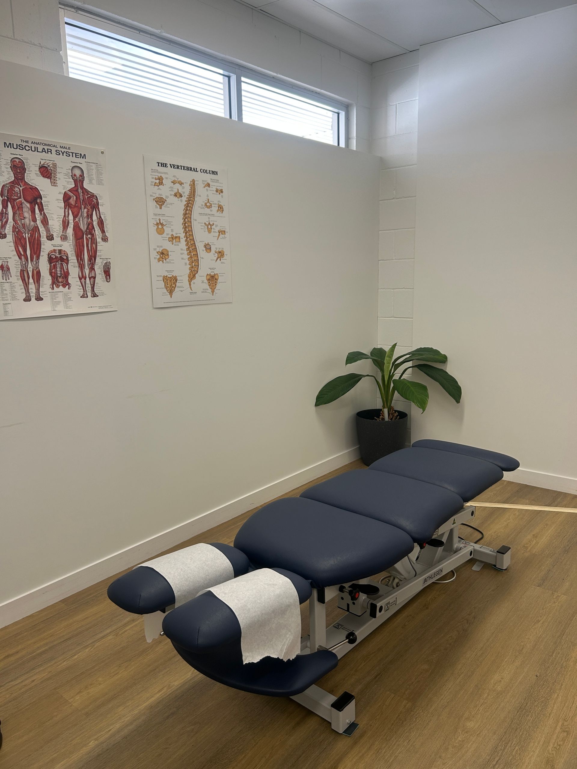 Doctor Showing A Spinal Model To A Patient — Integrate Health In Ooralea, QLD