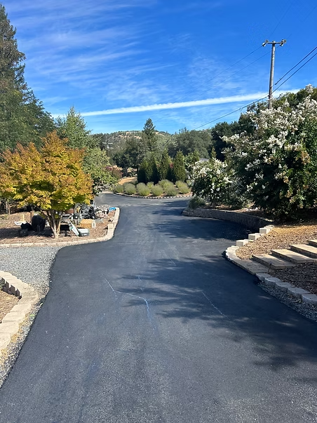 Freshly paved driveway winding through a landscaped garden under a blue sky
