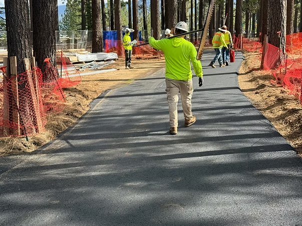 Workers paving a winding path through a pine forest, with orange safety fencing along both sides