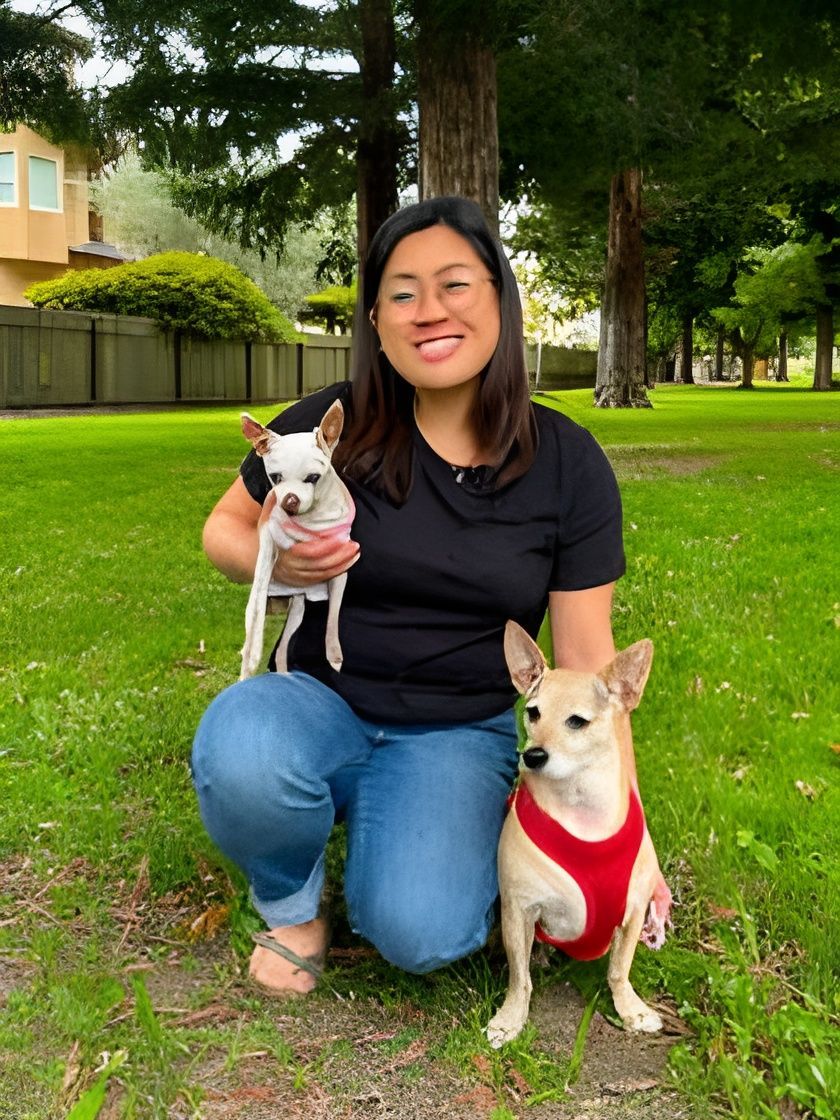 Woman kneeling in a park with two small dogs, one in a red sweater, both on leashes.