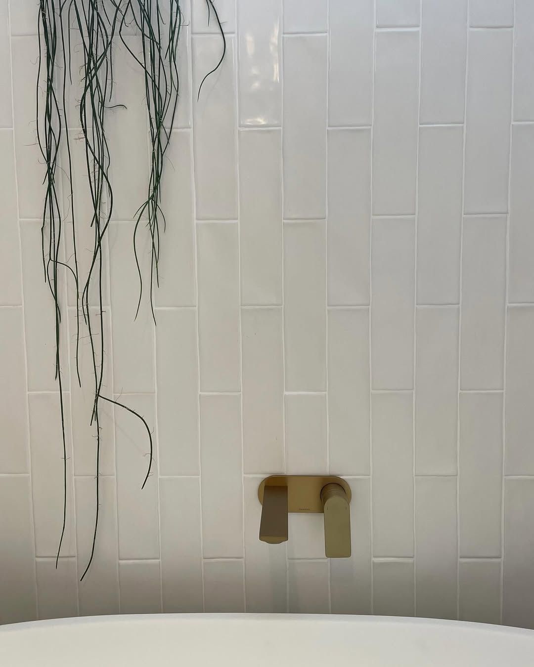 White Tiled Bathroom Wall With Hanging Plant and Brass Faucet — Seeto Tiling in Fingal Bay, NSW