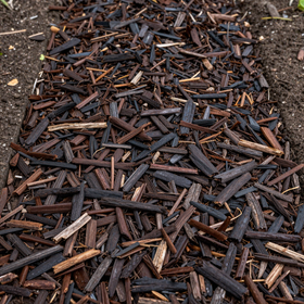 Dark fresh mulch spread evenly around a garden bed