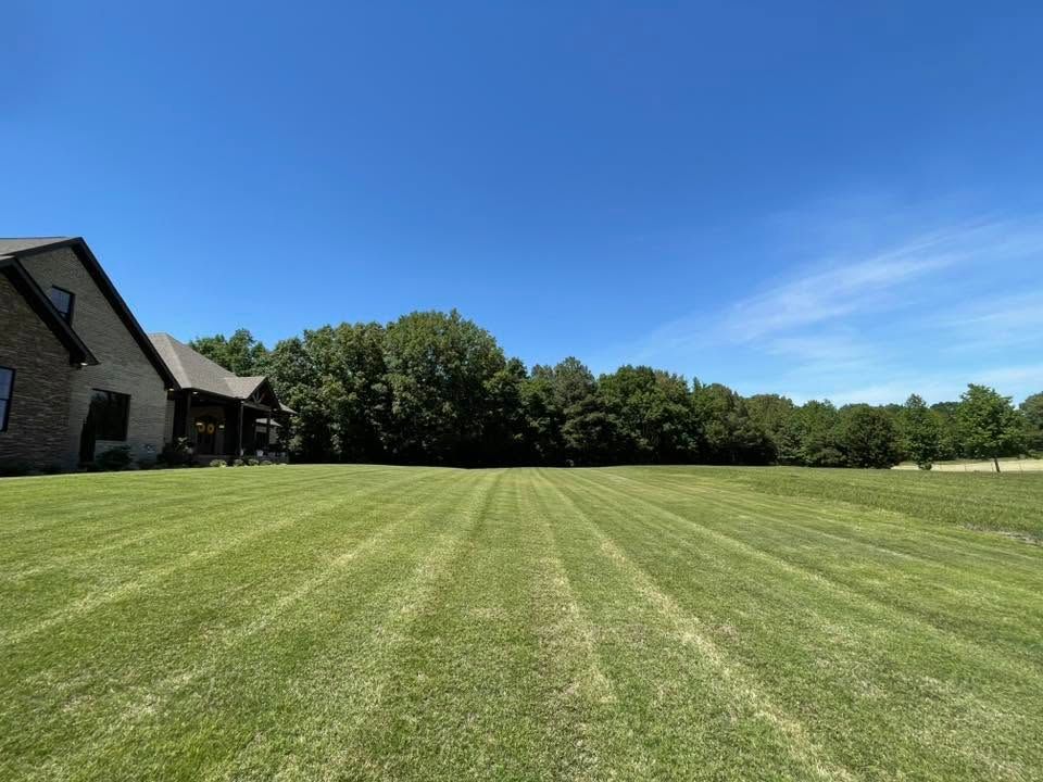 Wide mowed green lawn beside a house under a bright blue sky