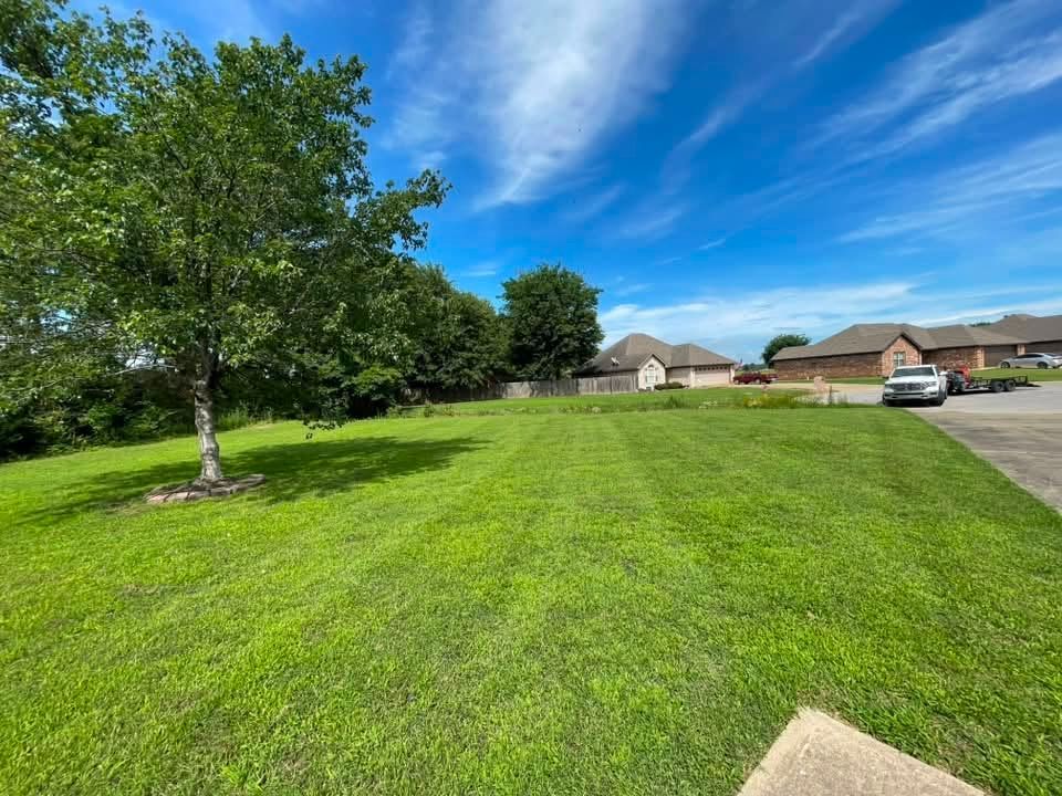 Green grassy neighborhood lot with a tree, blue sky, and houses in the background