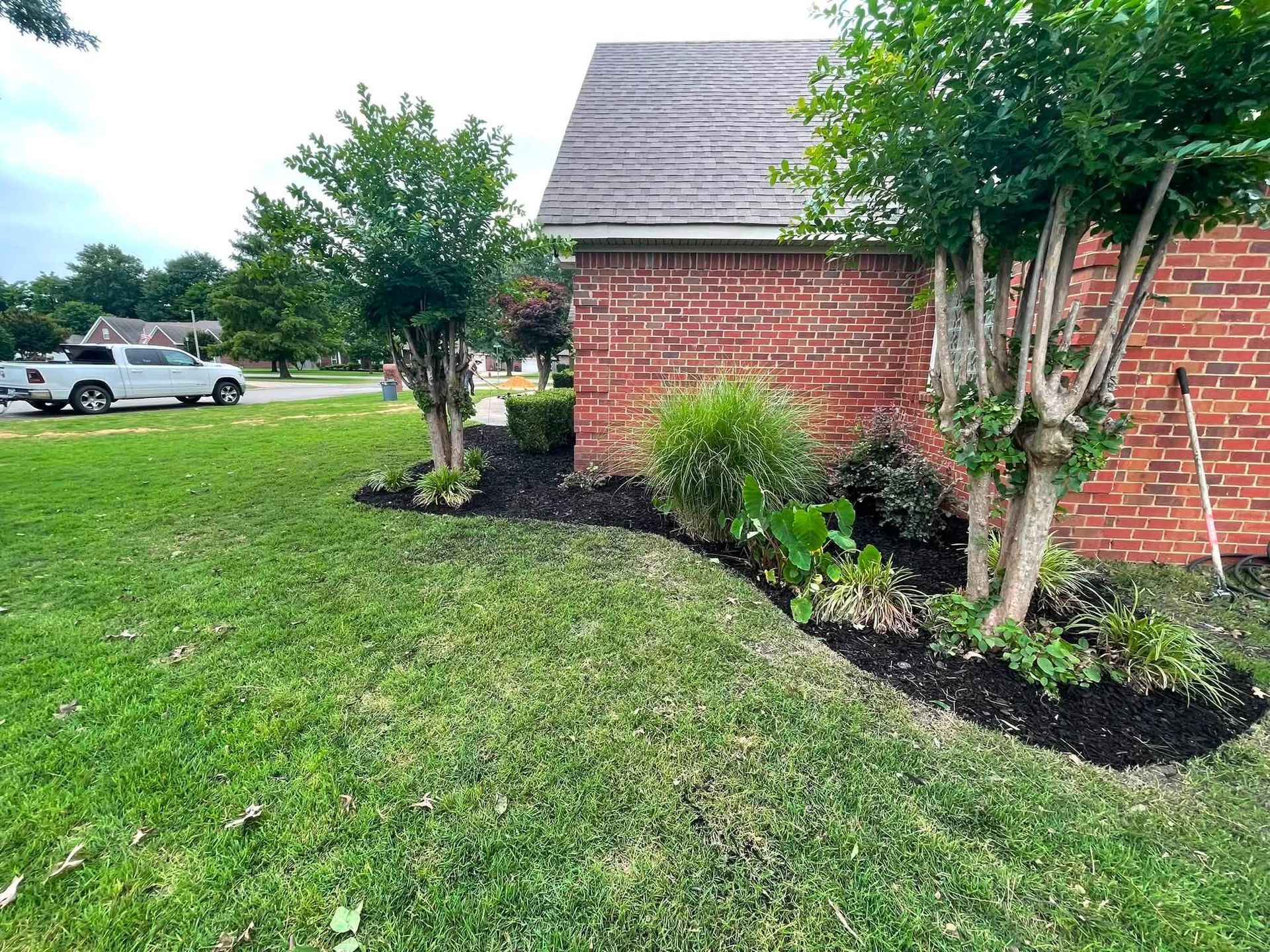 Landscaped brick house with young trees, shrubs, and fresh mulch along the foundation