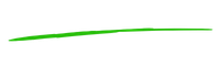 Thin green curved line on a white background
