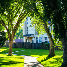 Well maintained tree with a clean trimmed canopy in a residential yard
