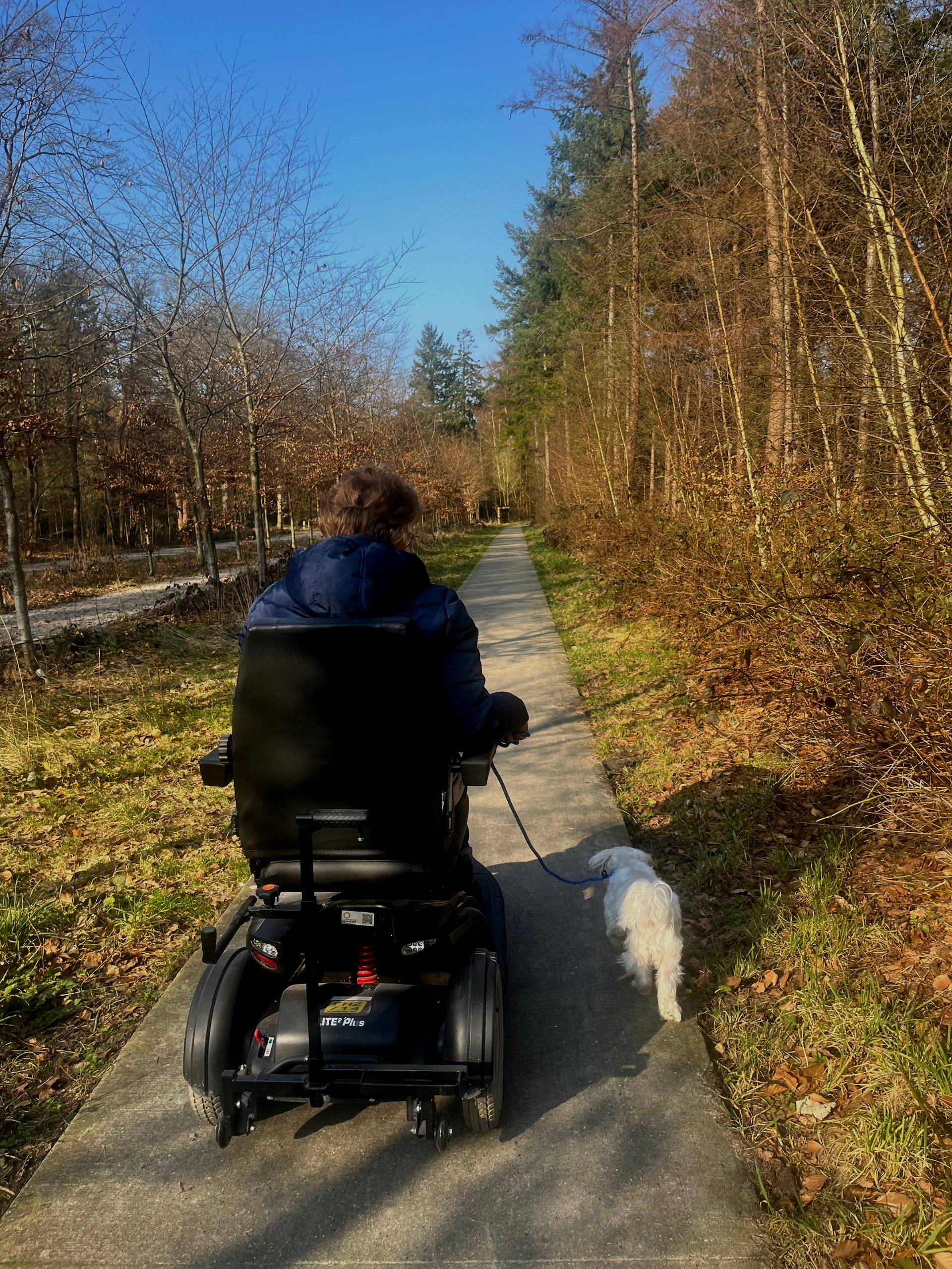 Inclusieve begeleiding voor iedereen.
