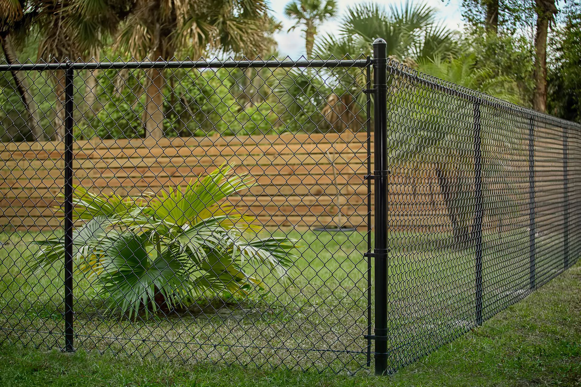 A chain link fence surrounds a lush green yard with trees in the background.