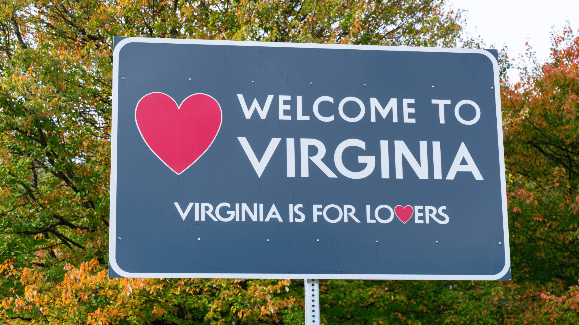 Local vs. National: Which One Suits You Best?
